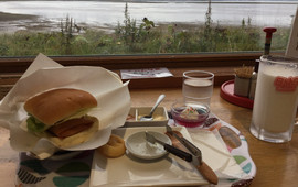 Notsuke Hanjima Nature Center Store