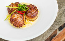 Principle Food & Drink餐厅图片