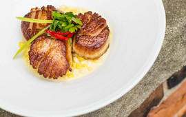 Principle Food & Drink
