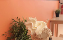 Gelateria Iano餐厅图片