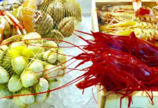 Antonio Restaurant美食图片