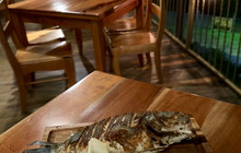 Fusión Grill Restaurante.餐厅图片