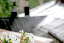 Summer restaurant Linnakrouvi美食图片