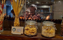 Barbeque Nation - Durgapur - City Center餐厅图片