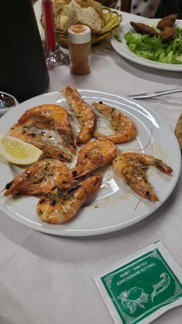 Meson Vieira