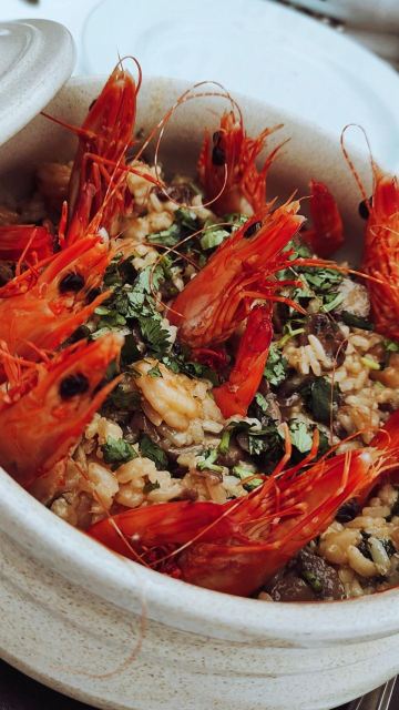 Xavega Mar Marisqueira