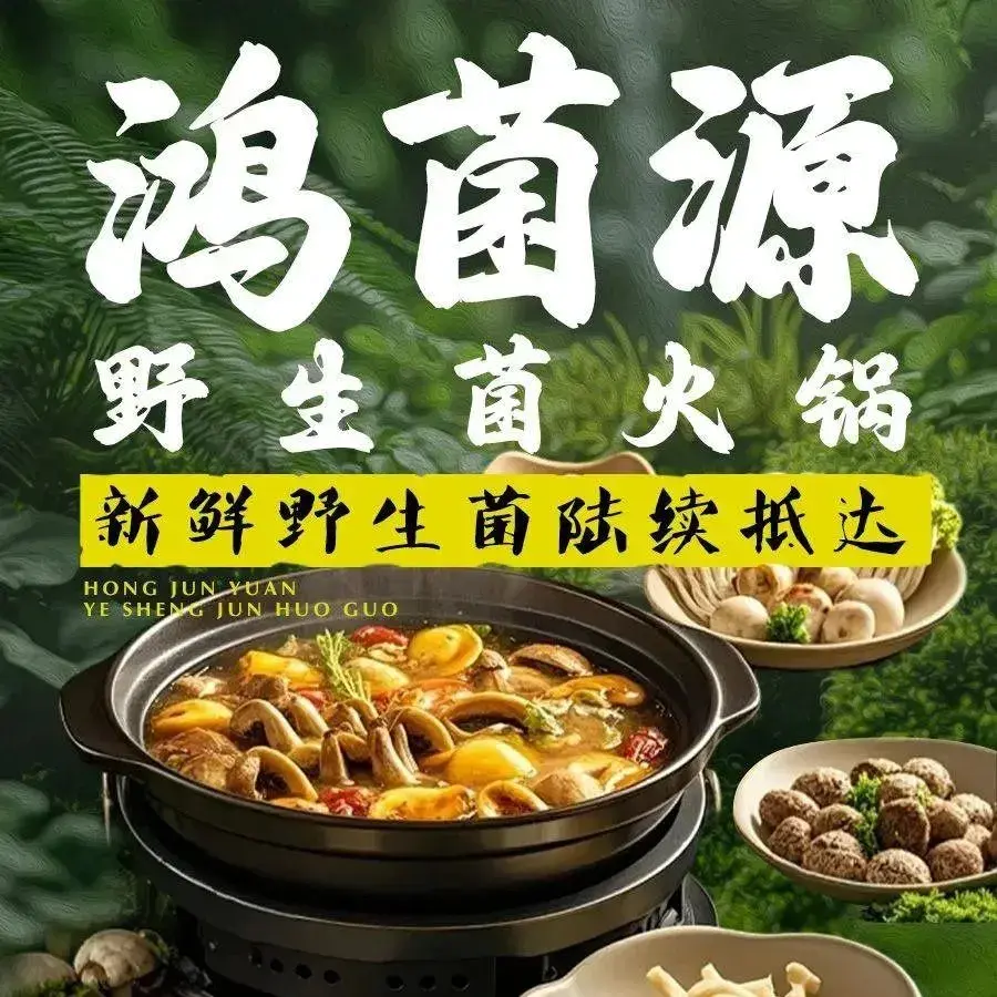 鸿菌源野生菌火锅