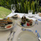 Sails Beach restaurant