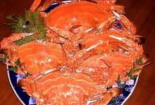 Kanitei美食图片