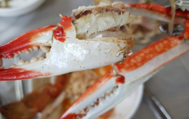 Sea Ui Taste Gawon