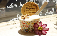 Delphini's Gelato餐厅图片