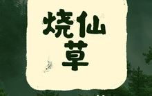 烧仙草咖啡奶茶(西门小区店)餐厅图片