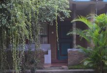 Clay Hut Village美食图片