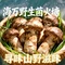 海万·野生菌火塘