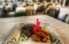 Anna Palace restaurant餐厅图片