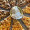Restorant&pizzeria Galeb