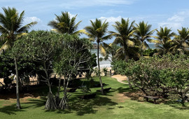The Palms Restaurant