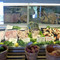 Half Shell Raw Bar