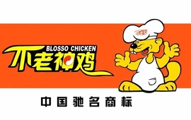 不老神鸡(振兴店)