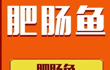 东街老字号肥肠馆(威远店)餐厅图片