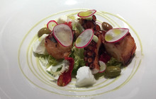 Trattoria Angiolina餐厅图片
