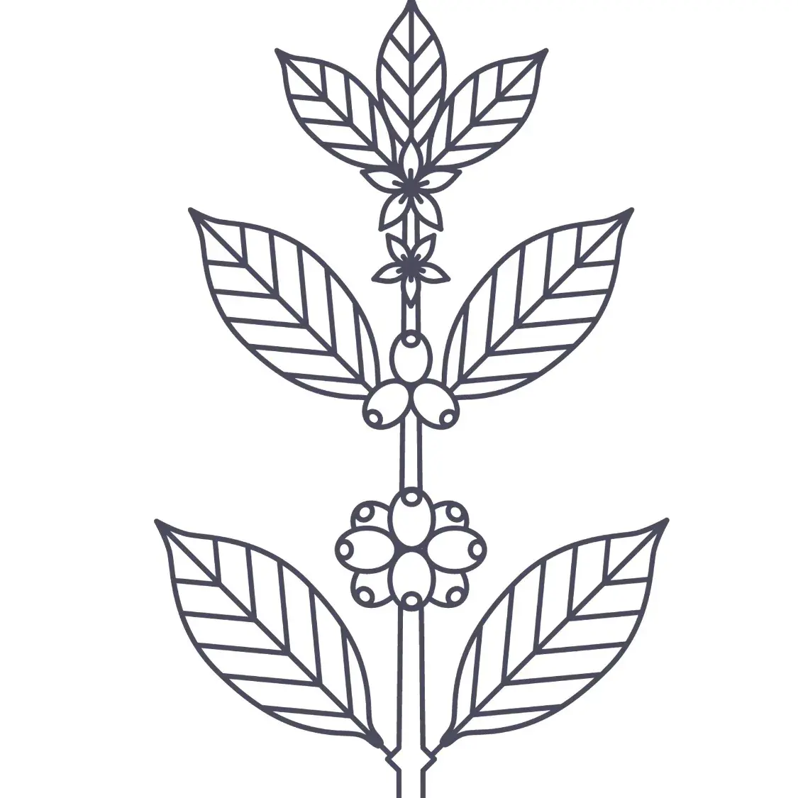 渡鸦咖啡烘焙