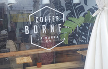 Borneo Coffee餐厅图片