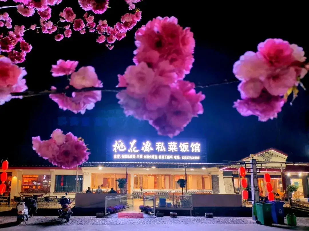 桃花源私菜饭馆(地热国店)美食图片