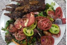 Thyme and Seasons美食图片