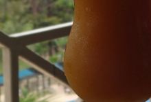 Monkey Lobby Bar in Gamboa Rainforest Resort美食图片