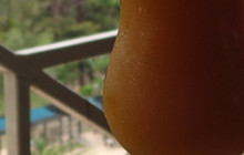 Monkey Lobby Bar in Gamboa Rainforest Resort餐厅图片