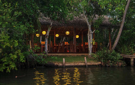 Mangrovia Lagoon Restaurant