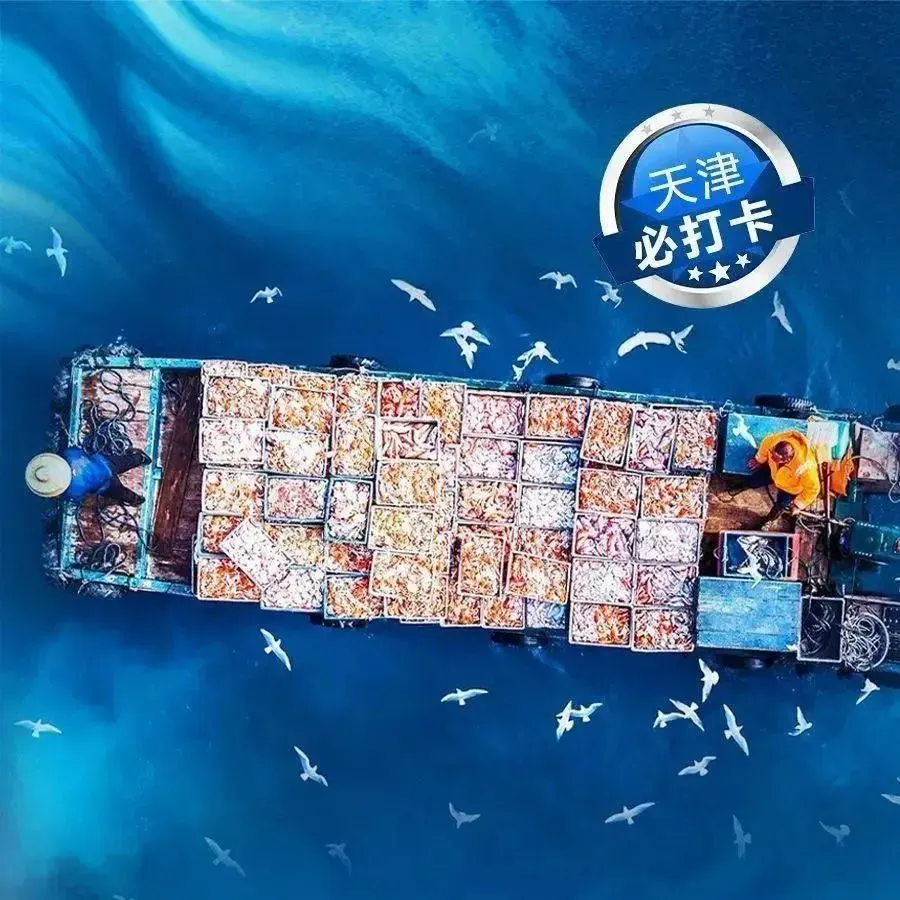 八号码头蒸汽海鲜·海鲜火锅(文化中心店)