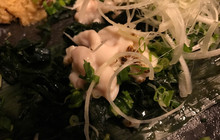 Kodo餐厅图片