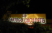La Tortuga Cucufata餐厅图片