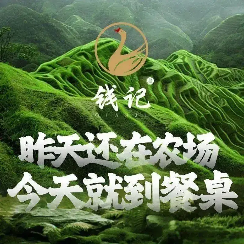 钱记生态酒店(紫荆花路店)