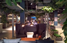 Orangeriet Boule & Bistro餐厅图片