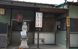 Jinsei