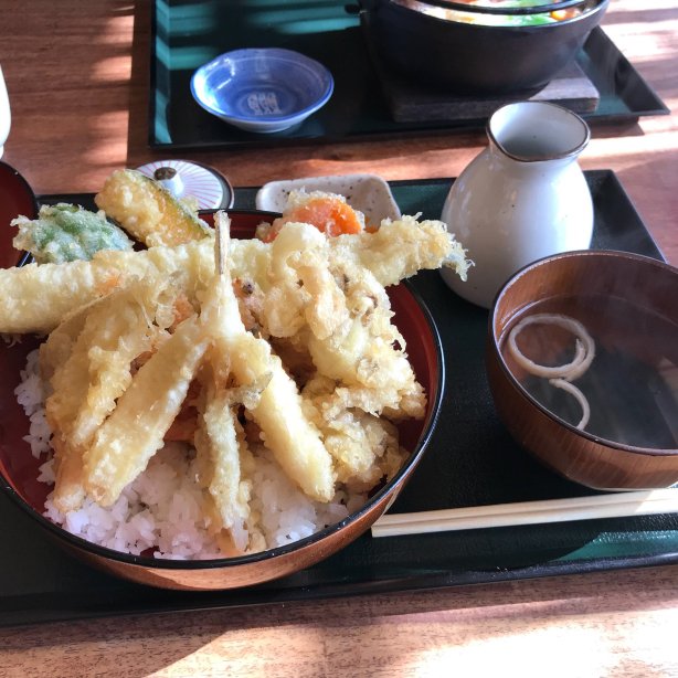 Mikatsukian