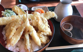 Mikatsukian