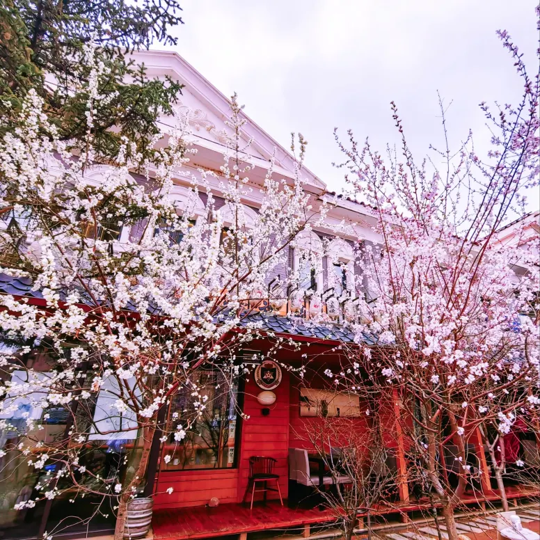 樱时花见烧鸟居酒屋·深夜食堂(水岸漫街店)