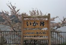 Drive-In Yoshida美食图片