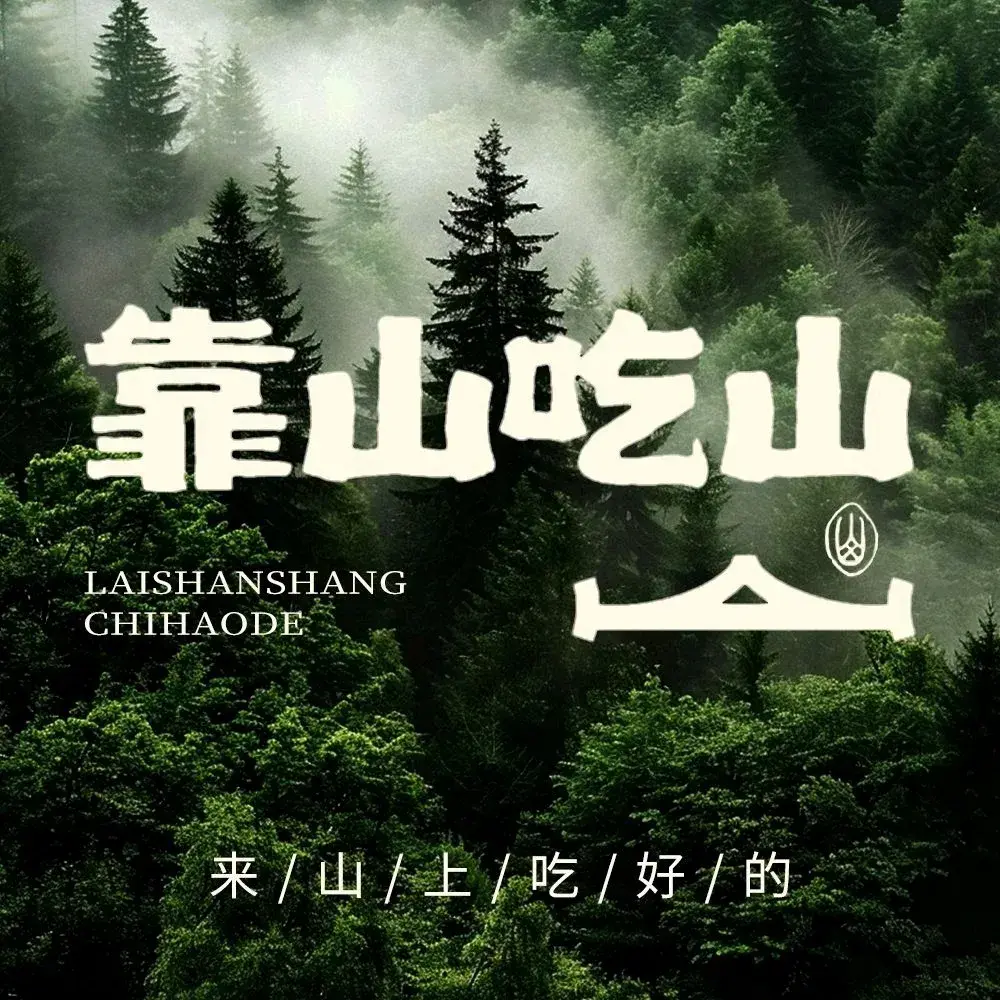 靠山吃山-山西菜馆