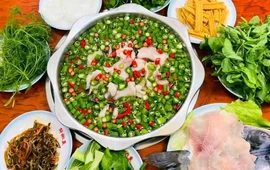 彝良鲜椒鱼火锅店