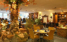 Ristorante Pizzeria Pinocchio餐厅图片