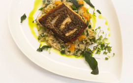 The Frisky Oyster