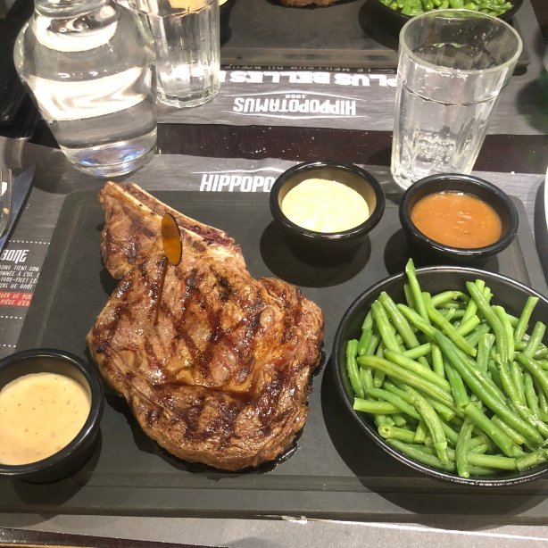 Hippopotamus