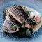 Mulberry Restaurant at The Manor House