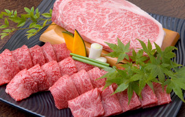 Yakiniku Yaruki Ujiohkuboten