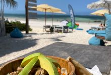 La Base JungleKite美食图片